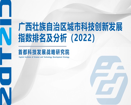 大吊日色色视频【成果发布】广西壮族自治区城市科技创新发展指数排名及分析（2022）